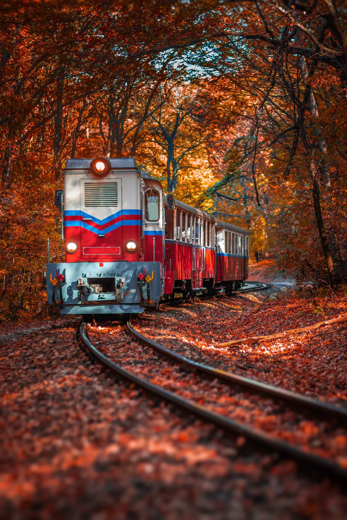 Hungary_Childrens-train.jpg