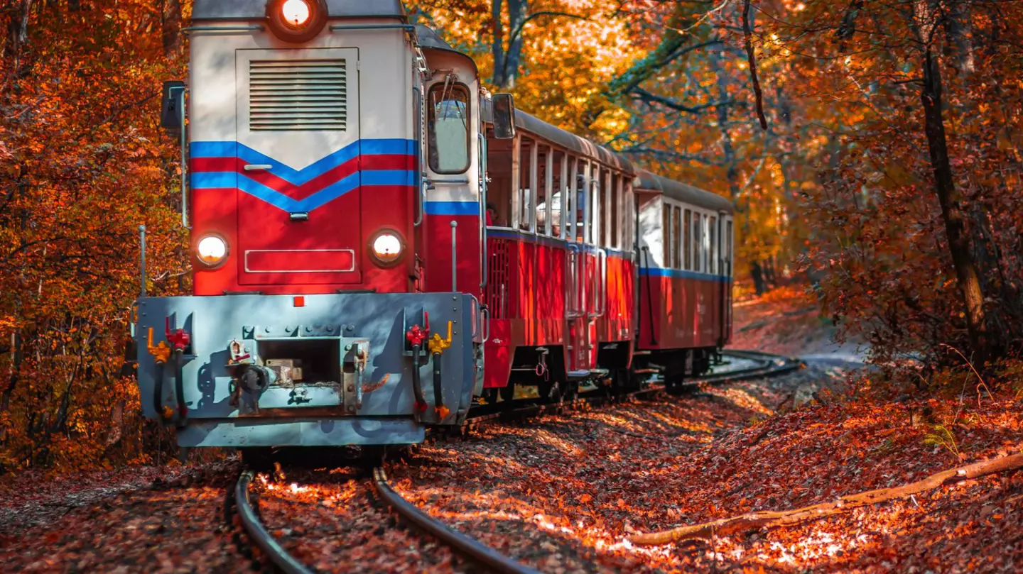 Hungary_Childrens-train.jpg