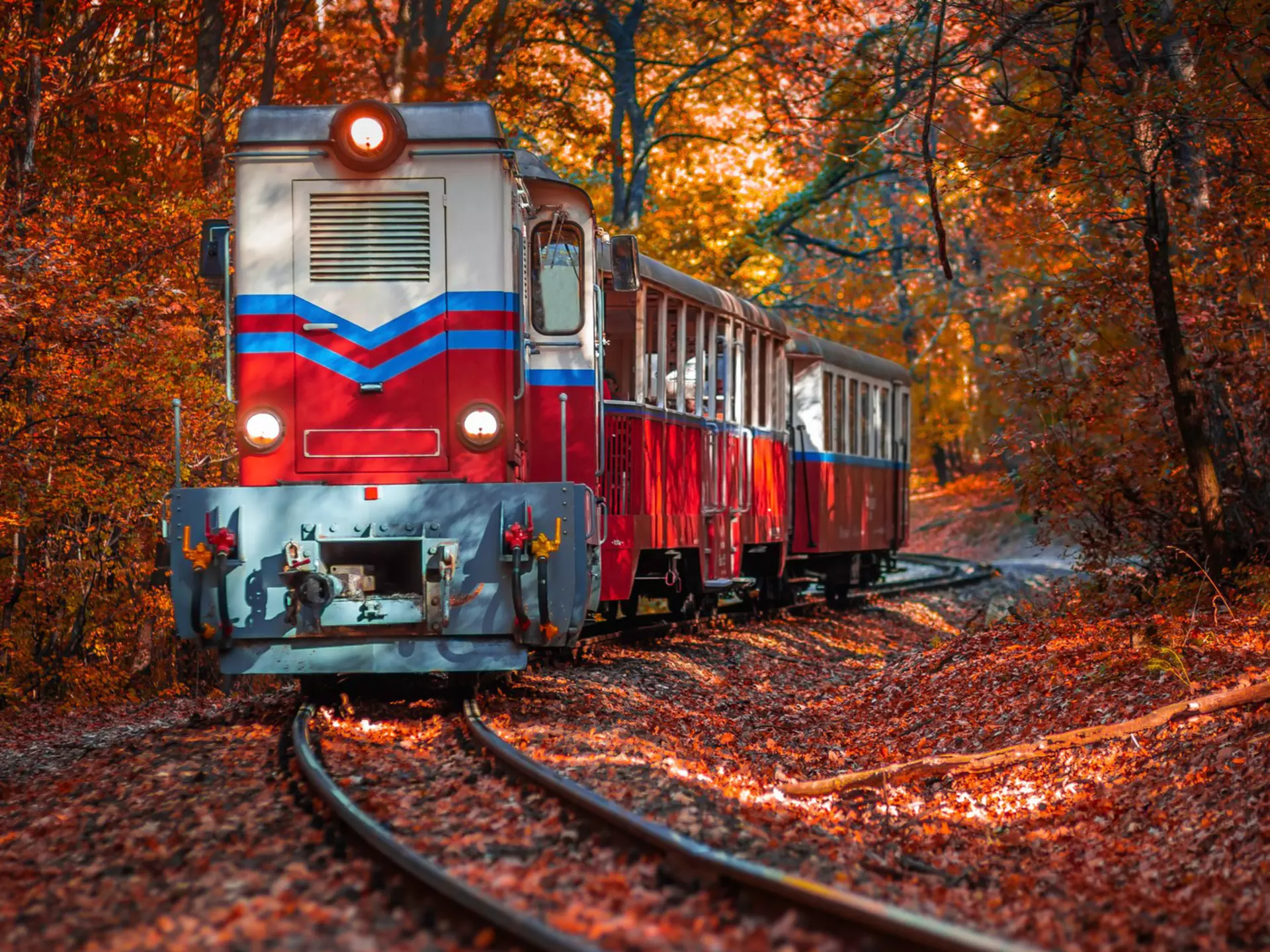 Hungary_Childrens-train.jpg