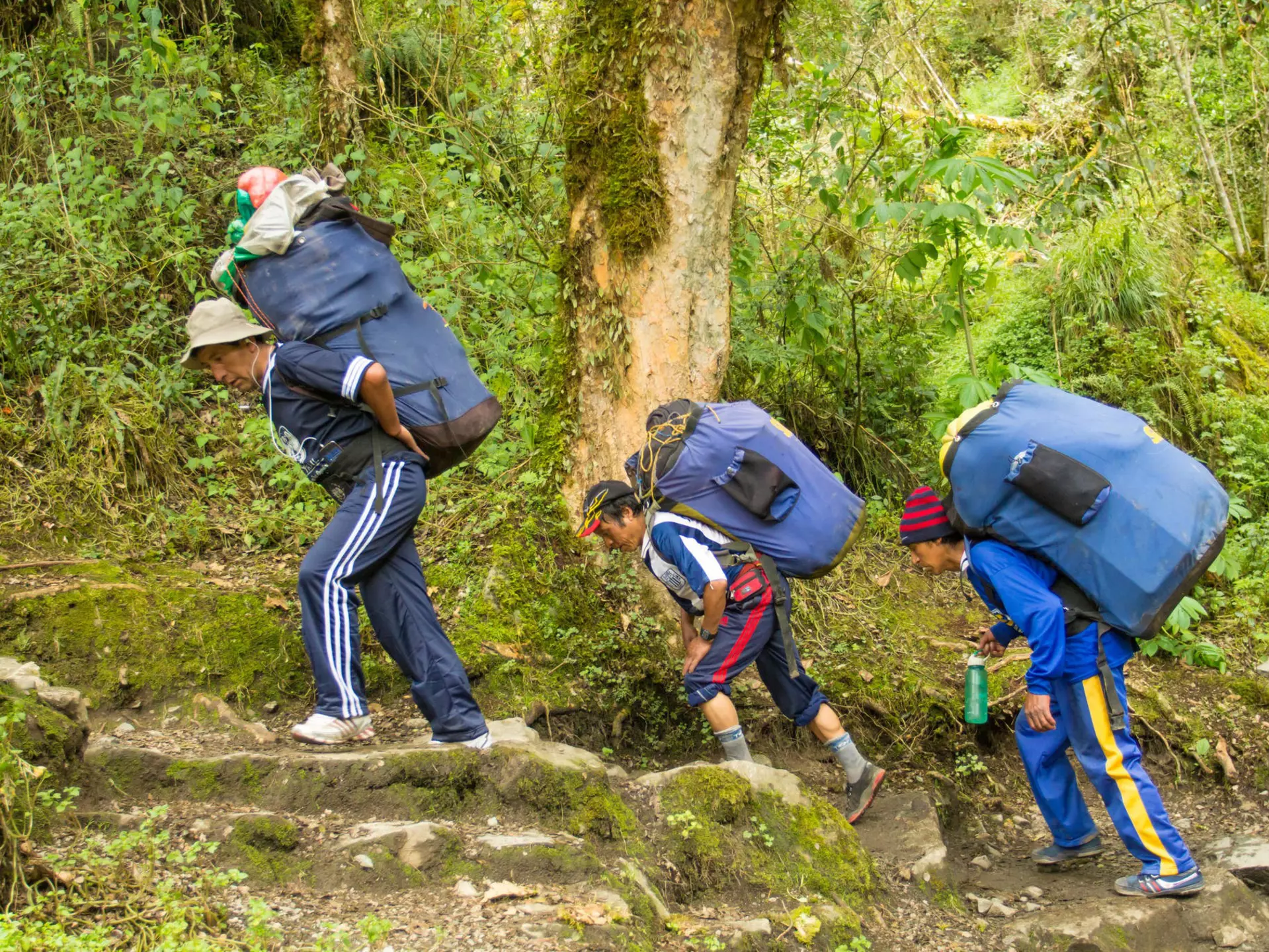 Peruvian porters with loaded packs carrying camping gear for hikers on the Inca Trail.
