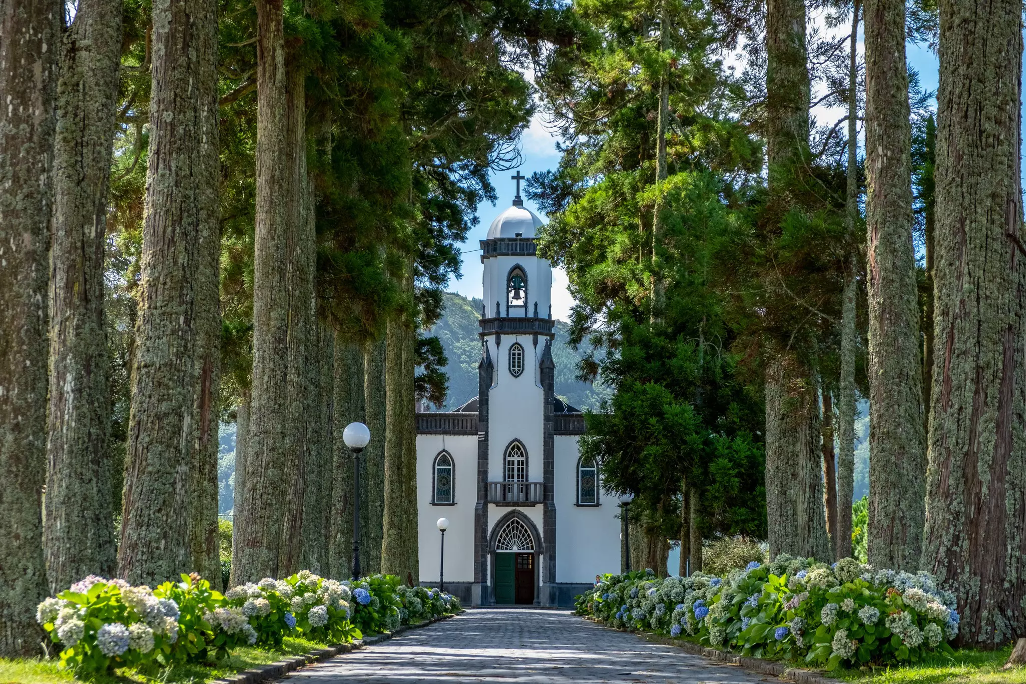 Cobblestone lane surrounded by tall frees and hydrangea bushes leading to white stone church with gothic elements.