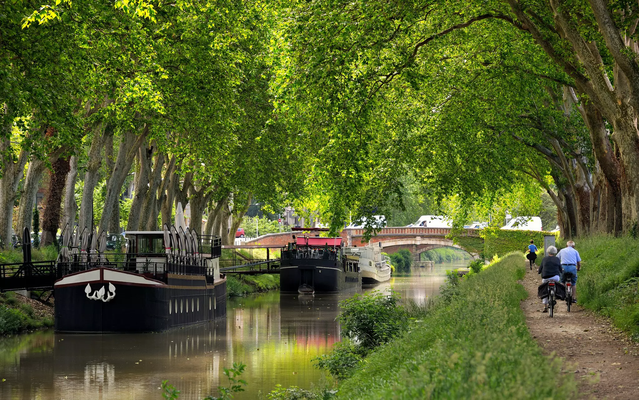 River barges are seen on a tree-lined canal, with cyclists on a dirt path on the canal bank.