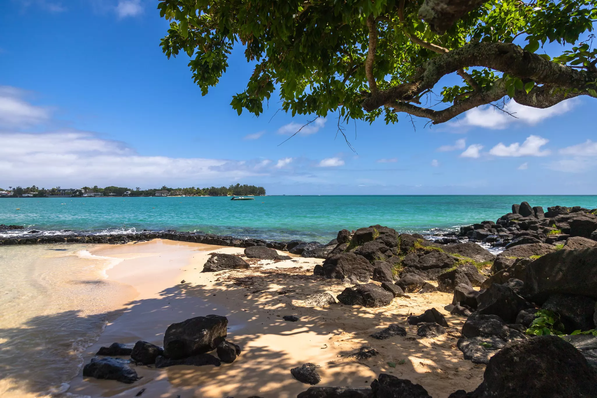 A rocky section of beach shaded by a tree. A small motorboat is moored in the shallows.