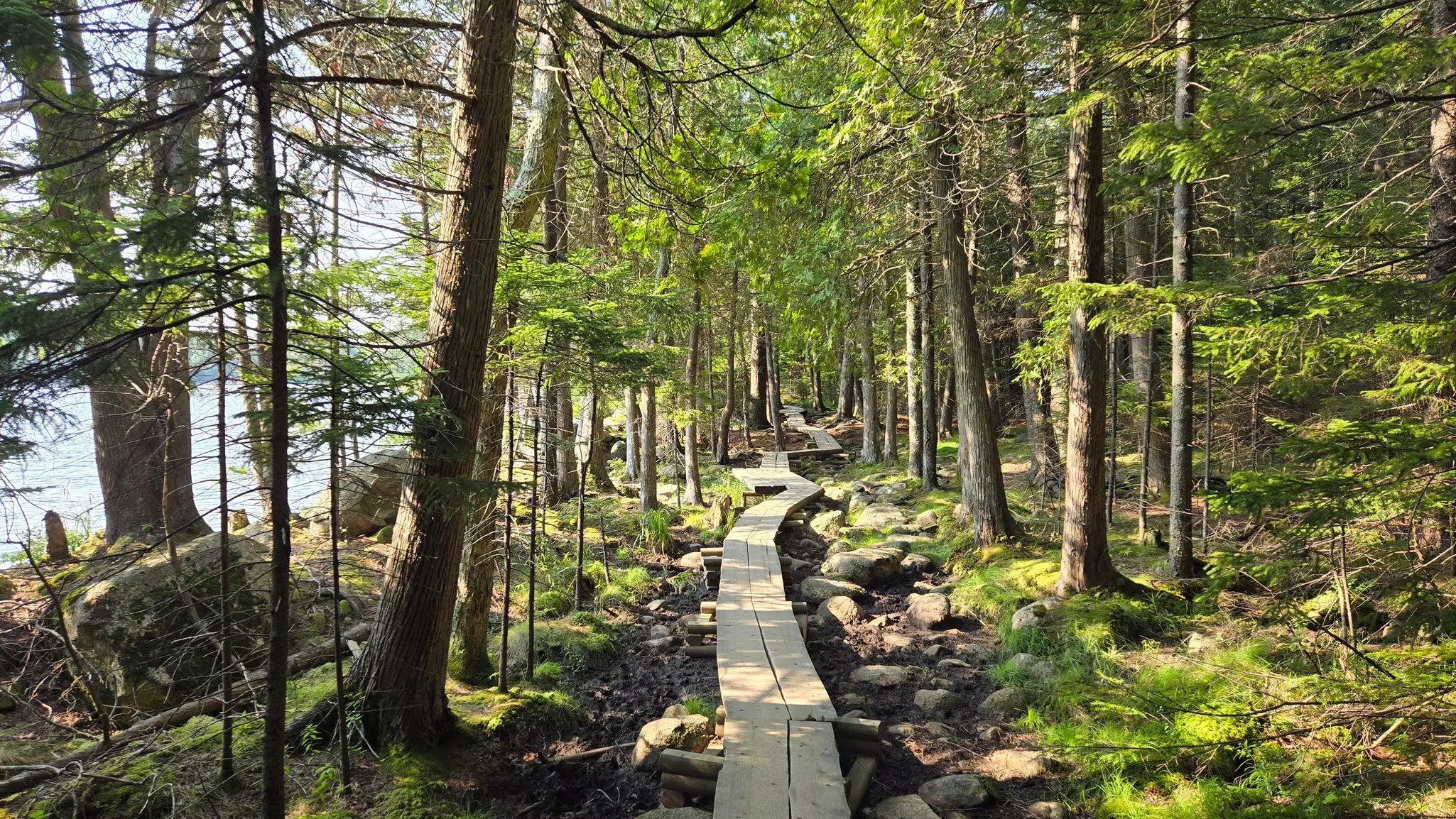 GettyImages-2165031131.jpg
Jordan Pond Path - Horizontal