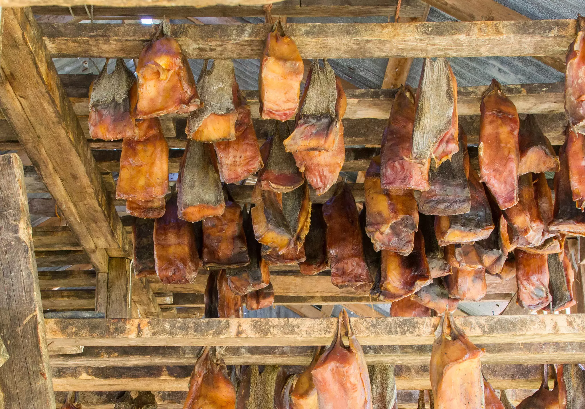 Large pieces of dried fish hang from the rafters in a drying shed.