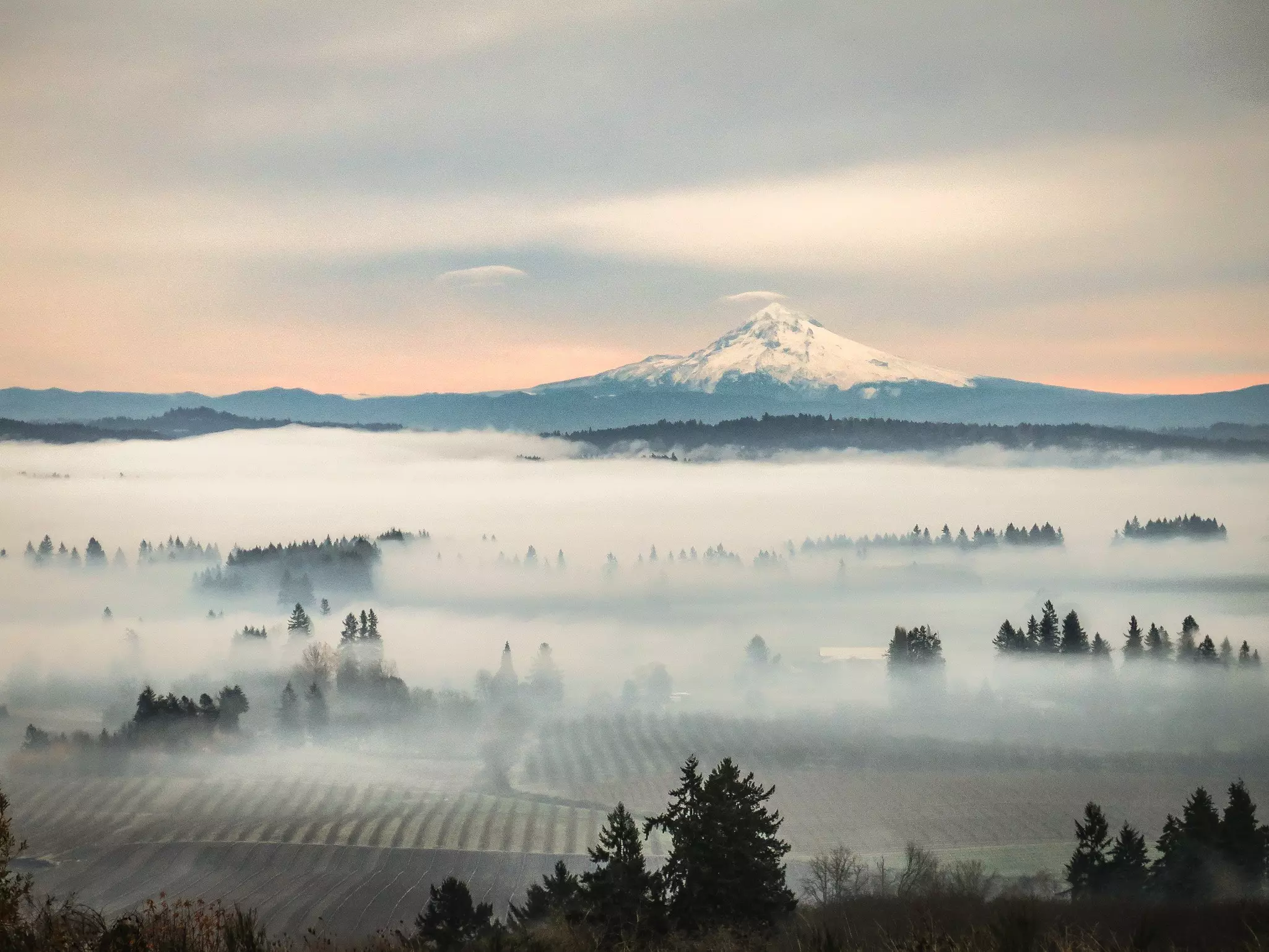 Willamette Valley is a year-round destination © LeslieBrienza / Getty Images
