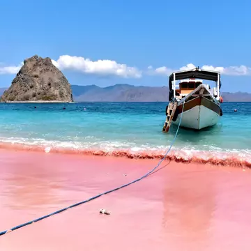 Pink Beach, Padar Island, Indonesia. Klara Bakalarova / Shutterstock