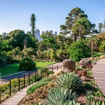 Royal Botanical gardens scenic view in Melbourne, Victoria, Australia.