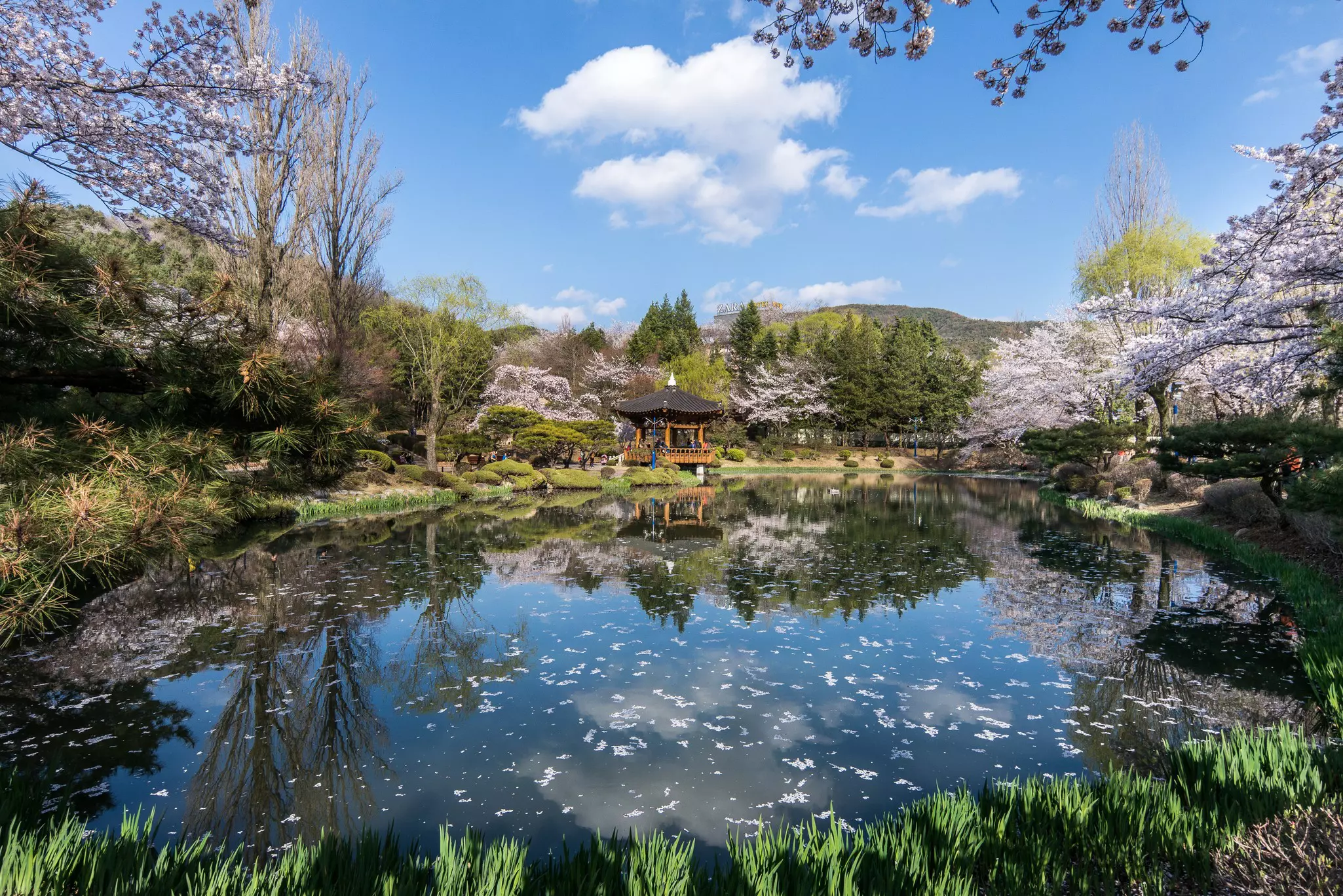 Bomun Lake. Insung Jeon/Getty Images