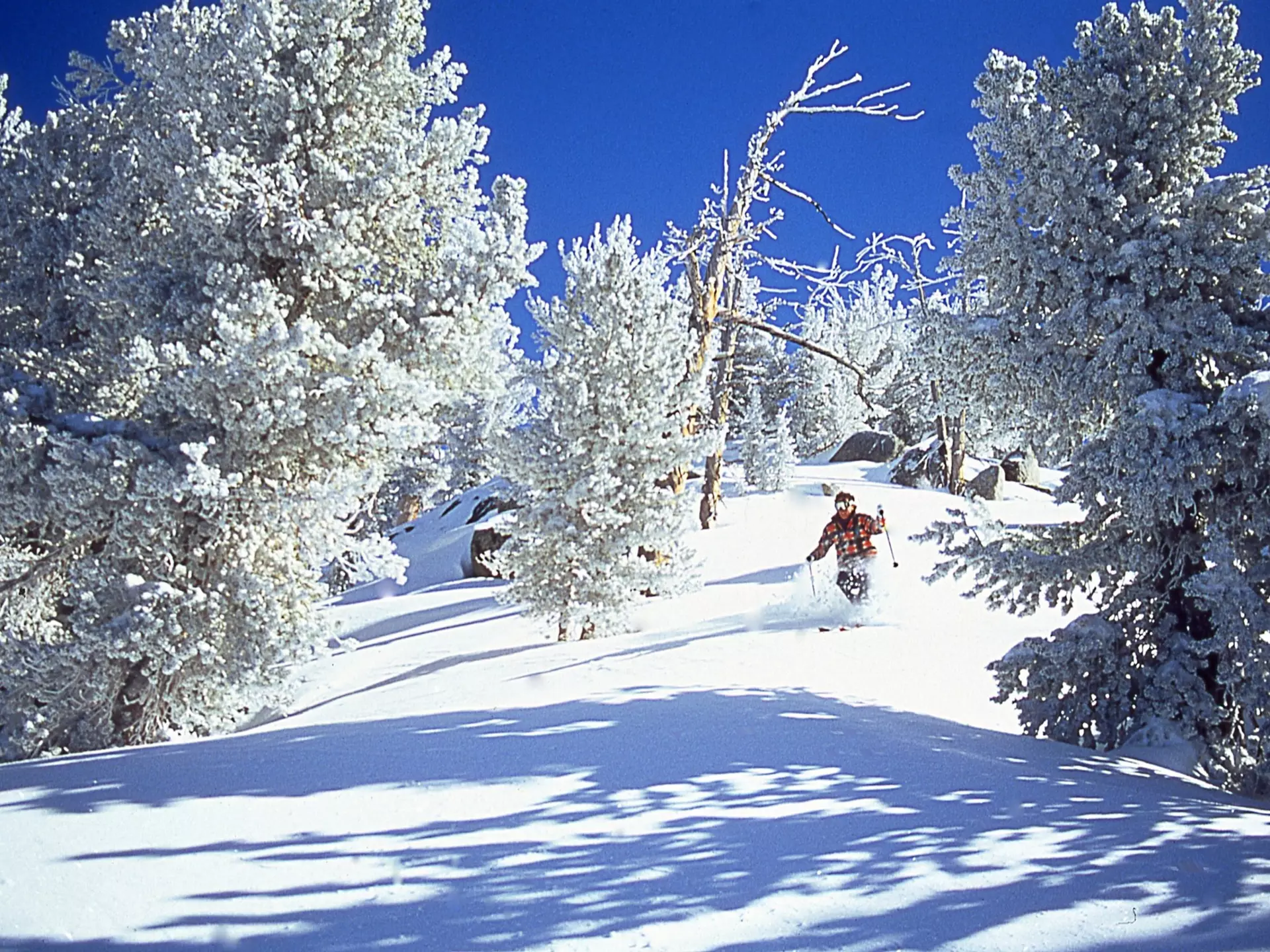 Lake Tahoe is just as fun during the winter months as it is during the summer © Succes'S IBC/Getty Images