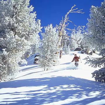 Lake Tahoe is just as fun during the winter months as it is during the summer © Succes'S IBC/Getty Images
