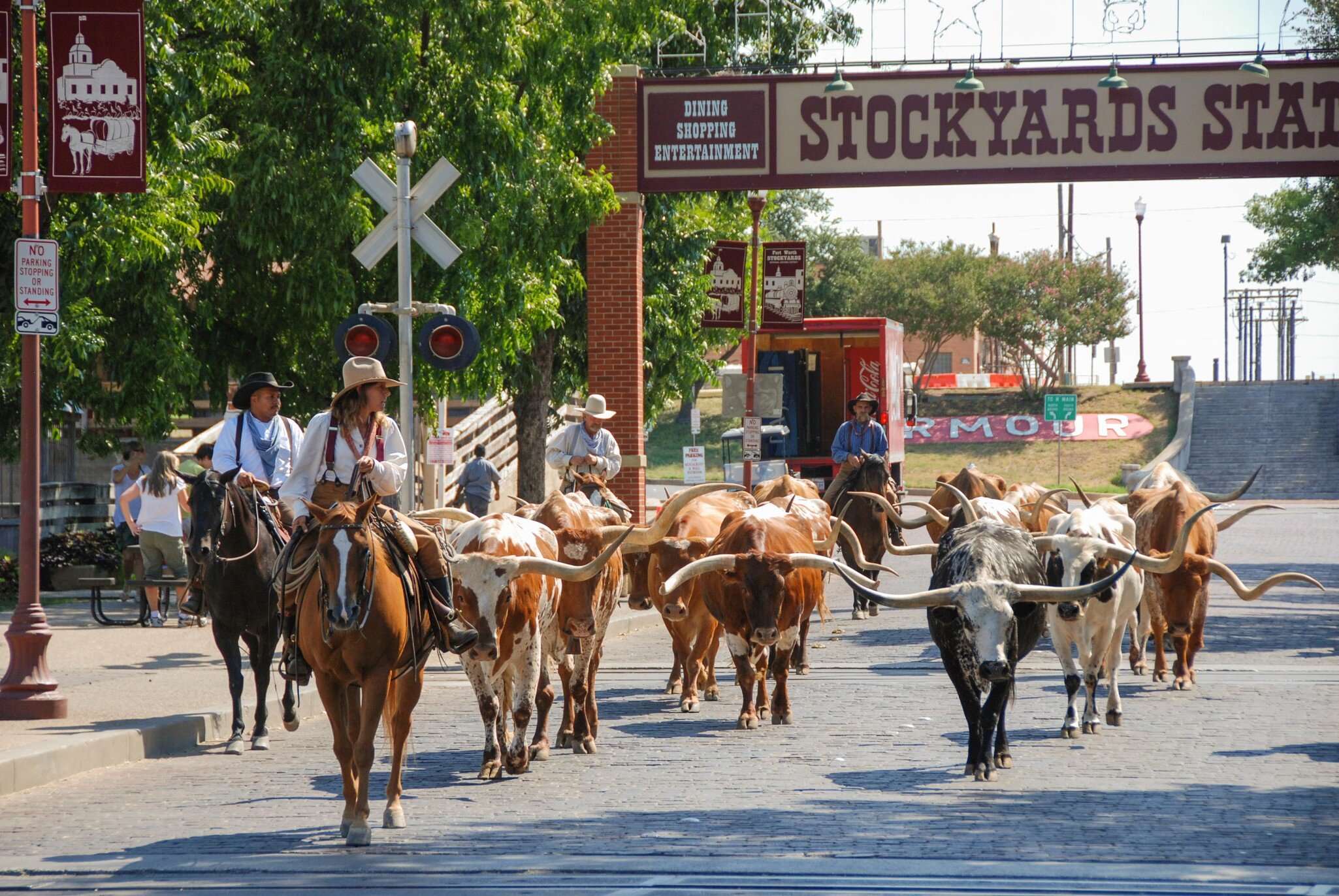Parade of cowboys and steer cattle in the Fort Worth Stockyards in Texas - stock photo
Fort Worth, Texas - September 2009: A herd of cattle parading through the Fort Worth Stockyards accompanied by cowboys on horseback