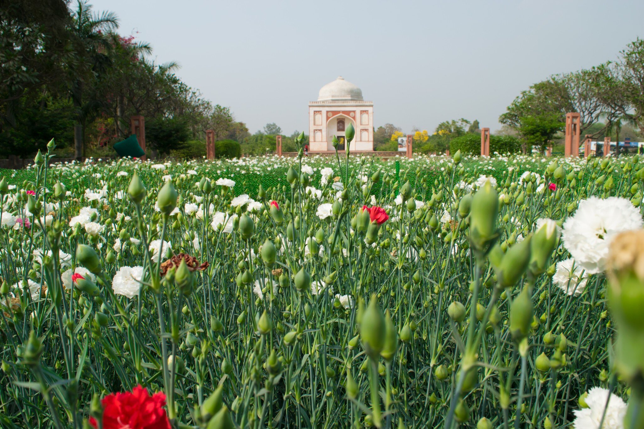 Landscape of Sunder Nursery, a 16th Century Heritage Park. UNESCO World Heritage Site of New Delhi, India near Humayun's Tomb.