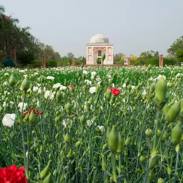 Landscape of Sunder Nursery, a 16th Century Heritage Park. UNESCO World Heritage Site of New Delhi, India near Humayun's Tomb.