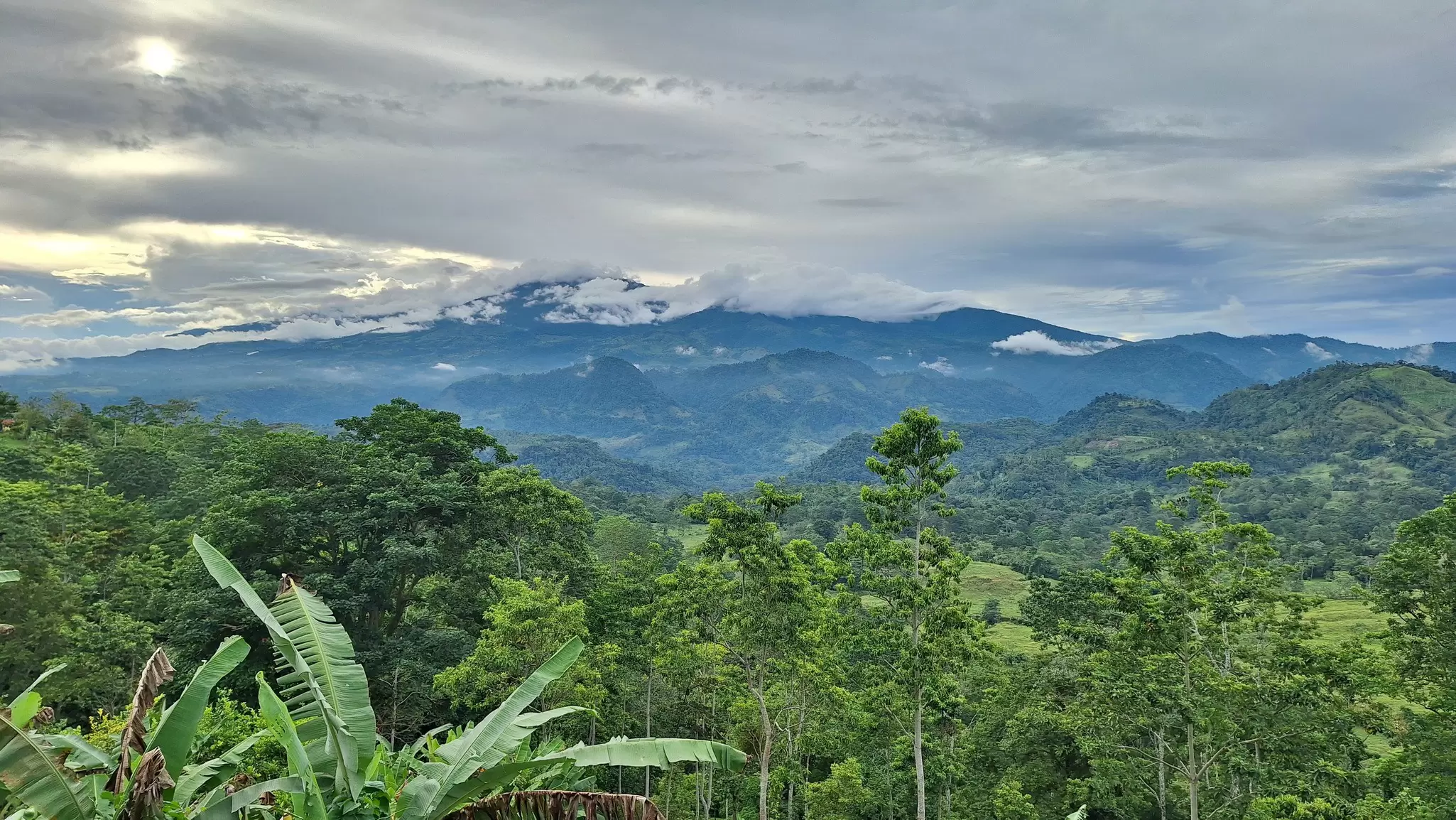 The verdant beauty of Costa Rica. Matthew Dennis