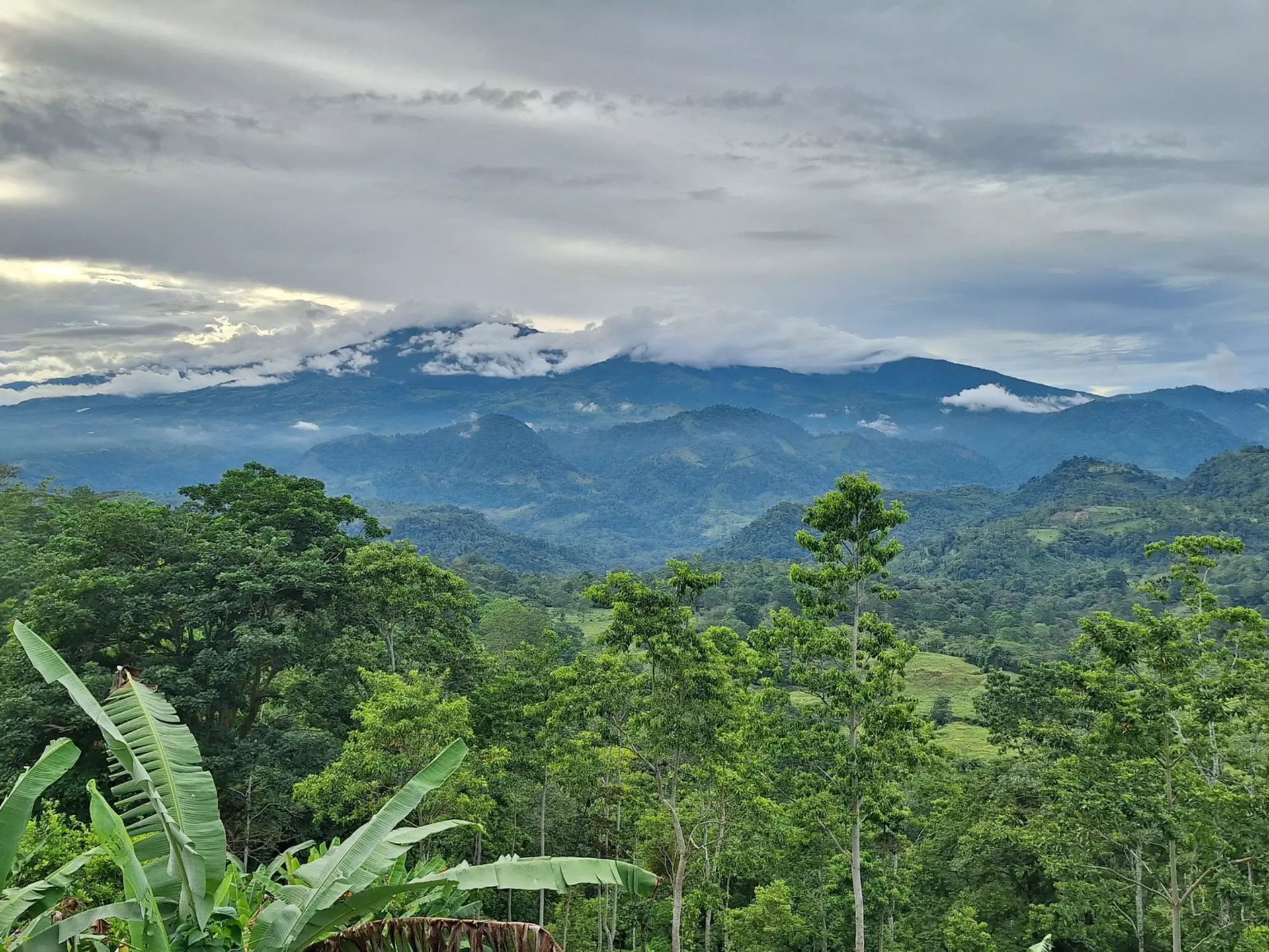 The verdant beauty of Costa Rica. Matthew Dennis