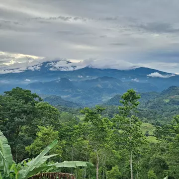 The verdant beauty of Costa Rica. Matthew Dennis