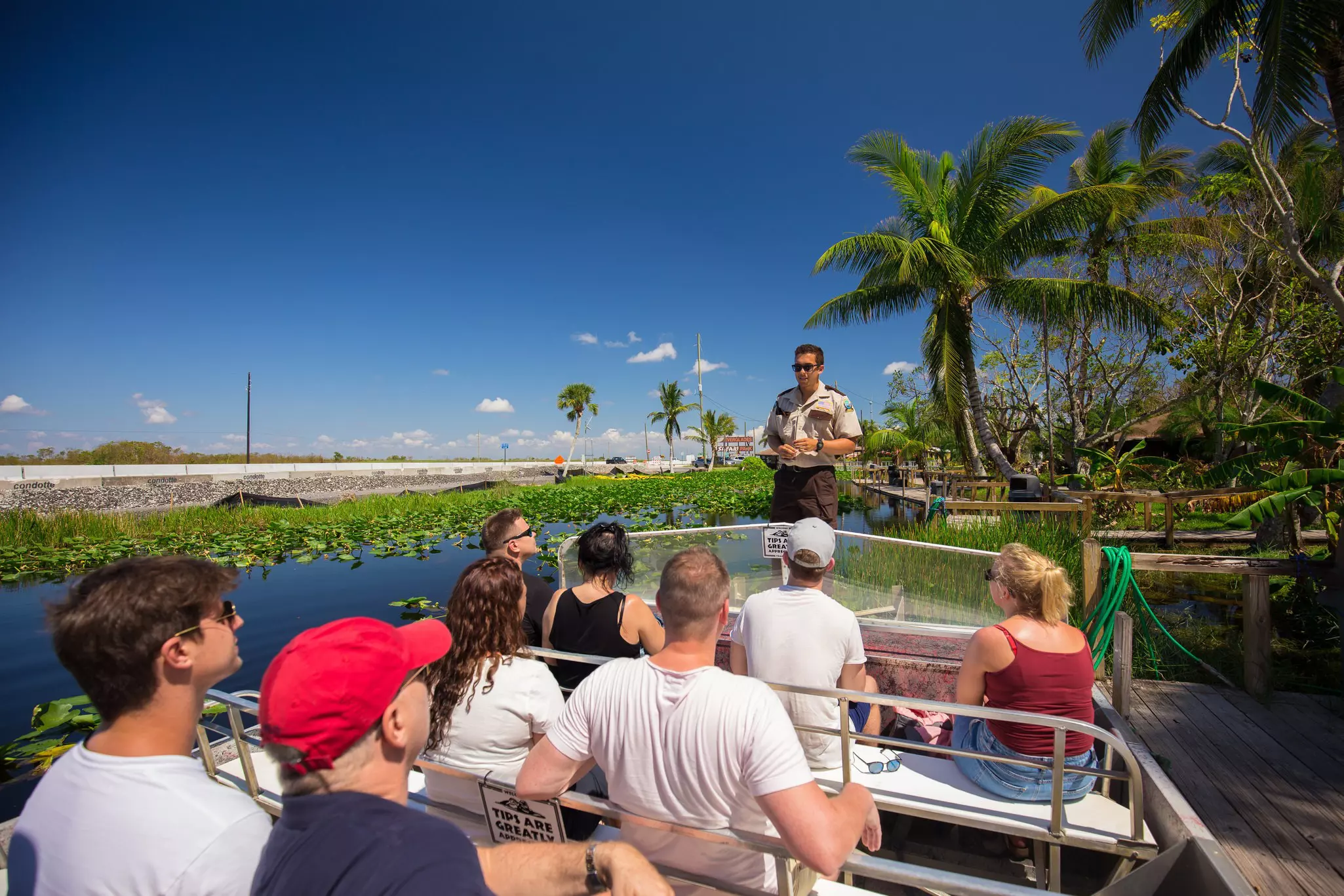 Group of people on an Everglades National Park boat tour listen to the guide, with palm trees and a blue sky as a backdrop