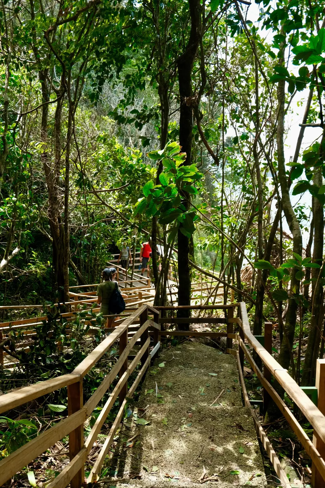 ADL press trip in Costa Rica
Scenes around Manuel Antonio National Park