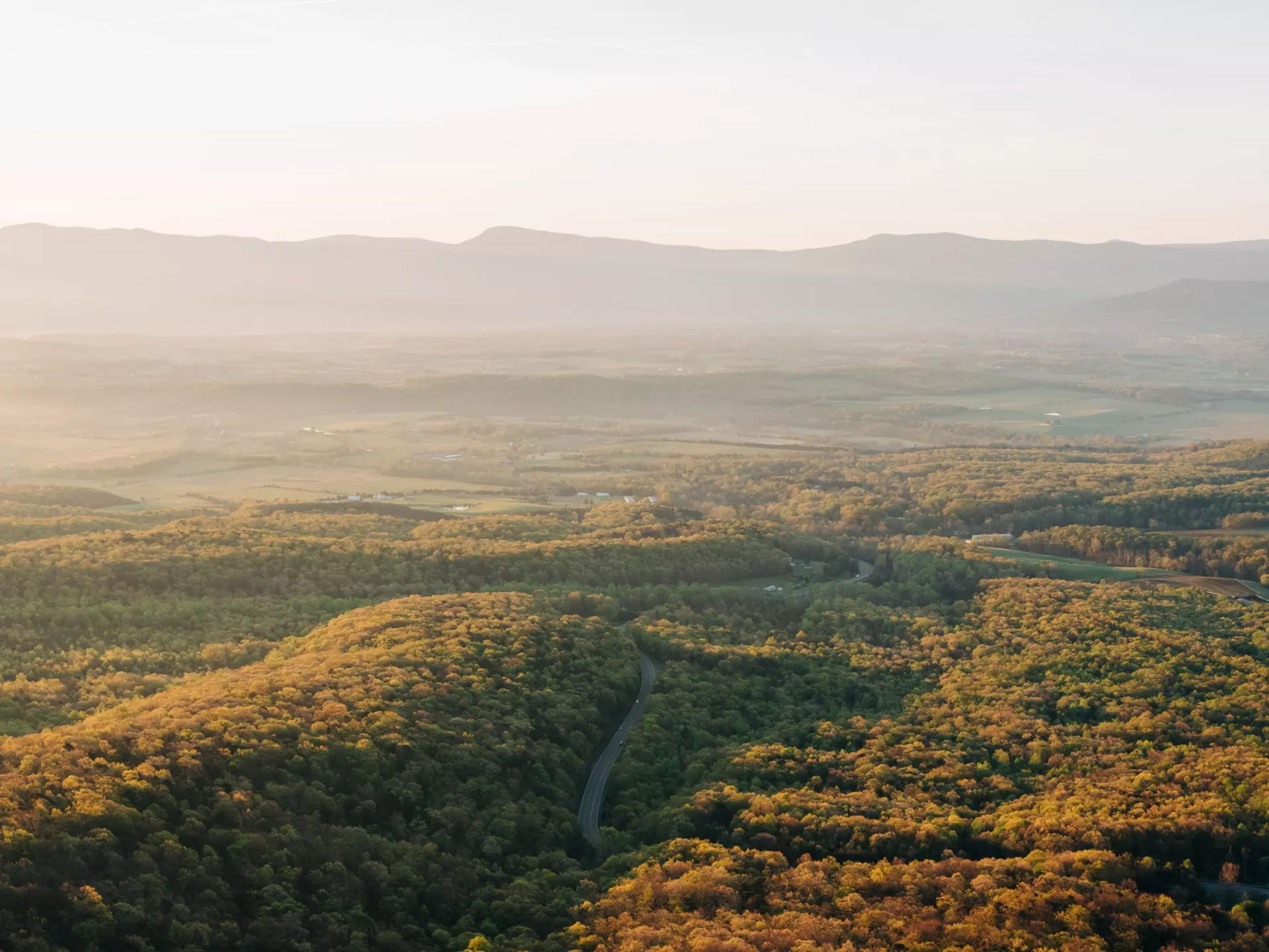 Rolling hills covered in woodland at sunrise