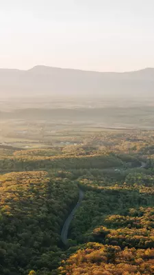 Rolling hills covered in woodland at sunrise