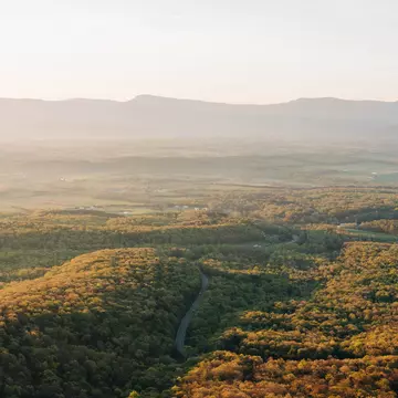 Rolling hills covered in woodland at sunrise