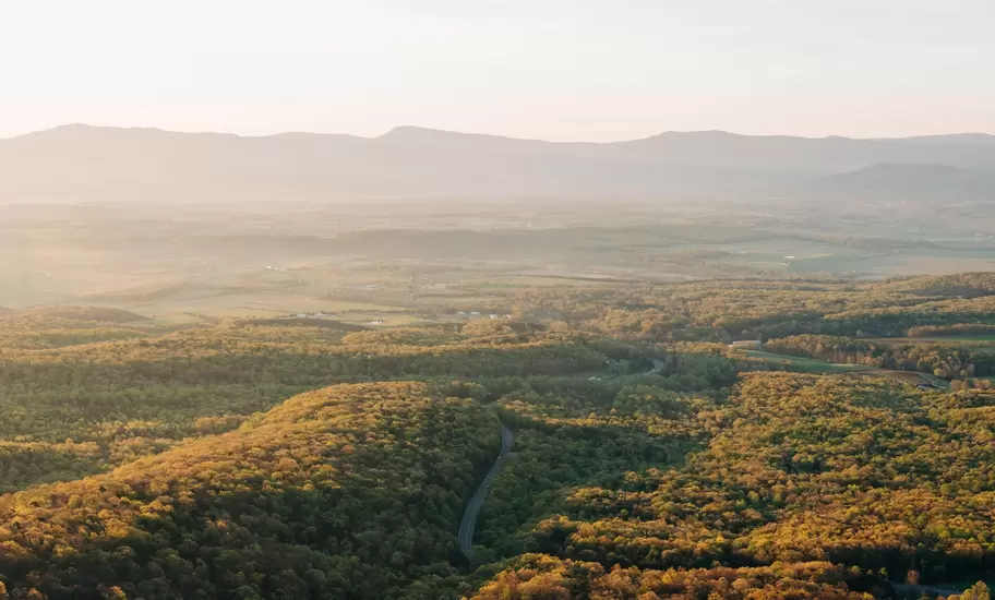 Rolling hills covered in woodland at sunrise