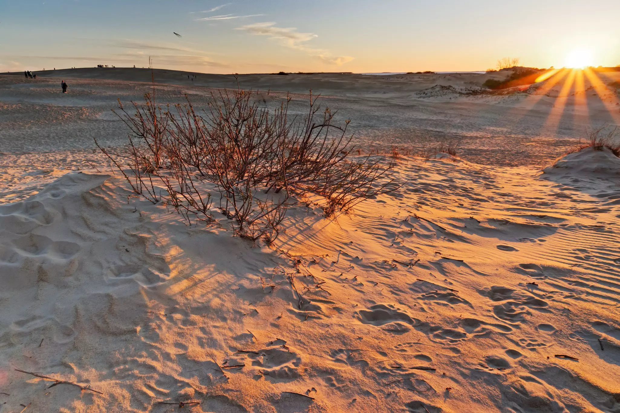 Sunset on the Jockey Ridge dunes with kite flyers in the distance.