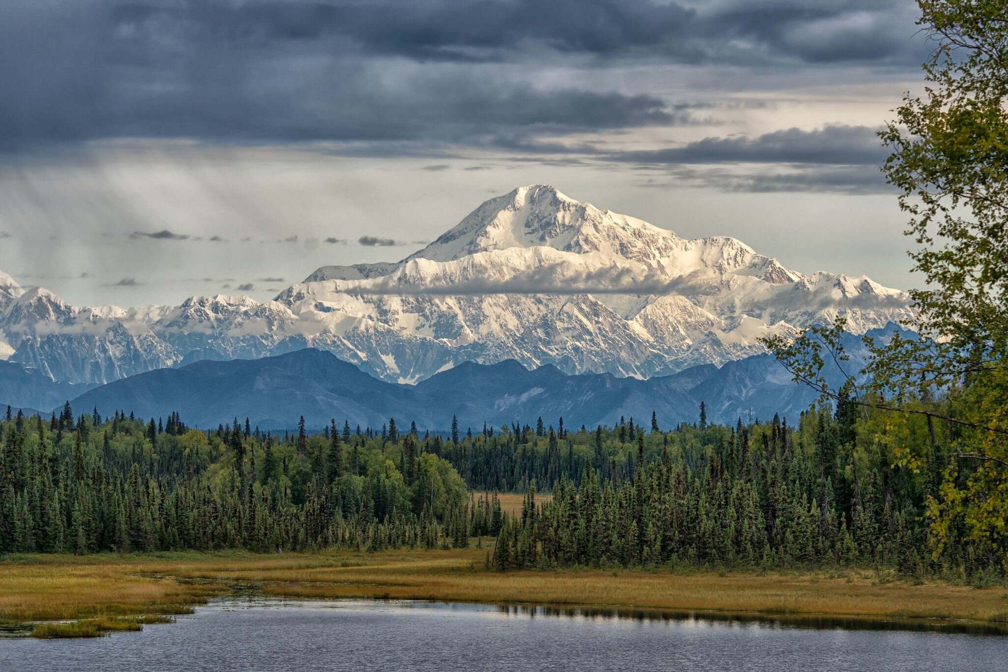 A vast snow-capped mountain peak in a forested area.