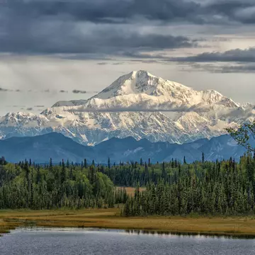 A vast snow-capped mountain peak in a forested area.