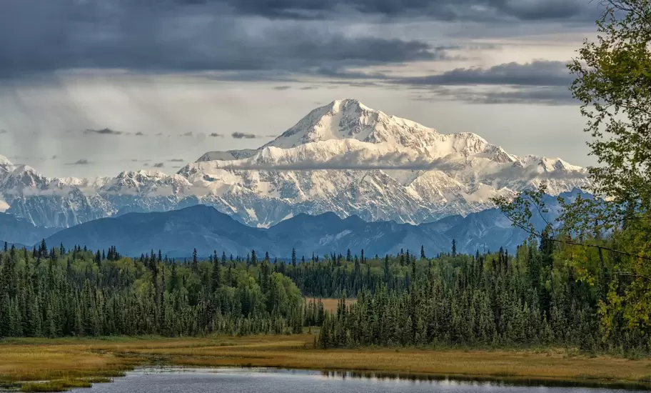 A vast snow-capped mountain peak in a forested area.