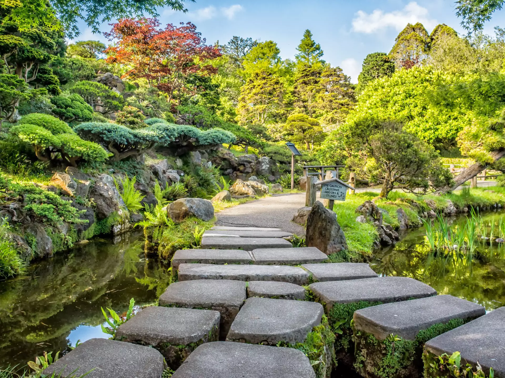 The Japanese Tea Garden in Golden Gate Park