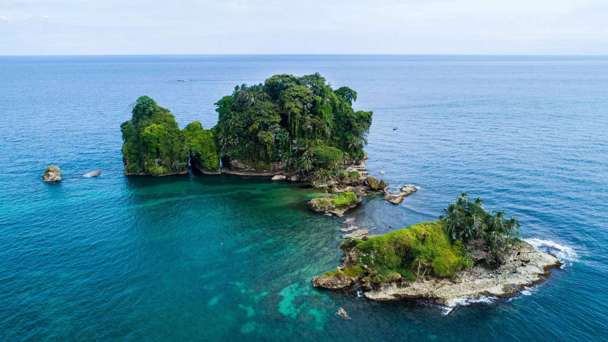 Bird Island, Bocas del Toro, Panamá.
