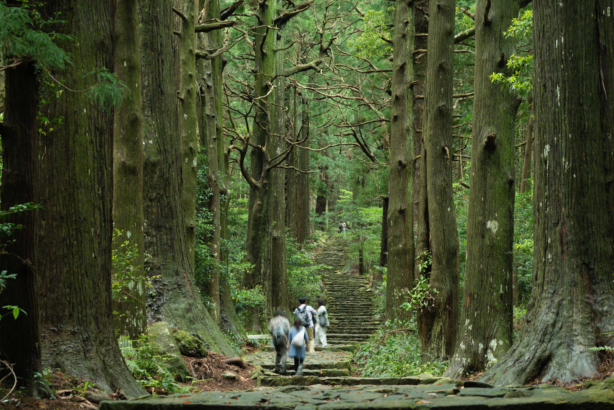 Mystical mountaintops and incredible coastlines: the lesser-known