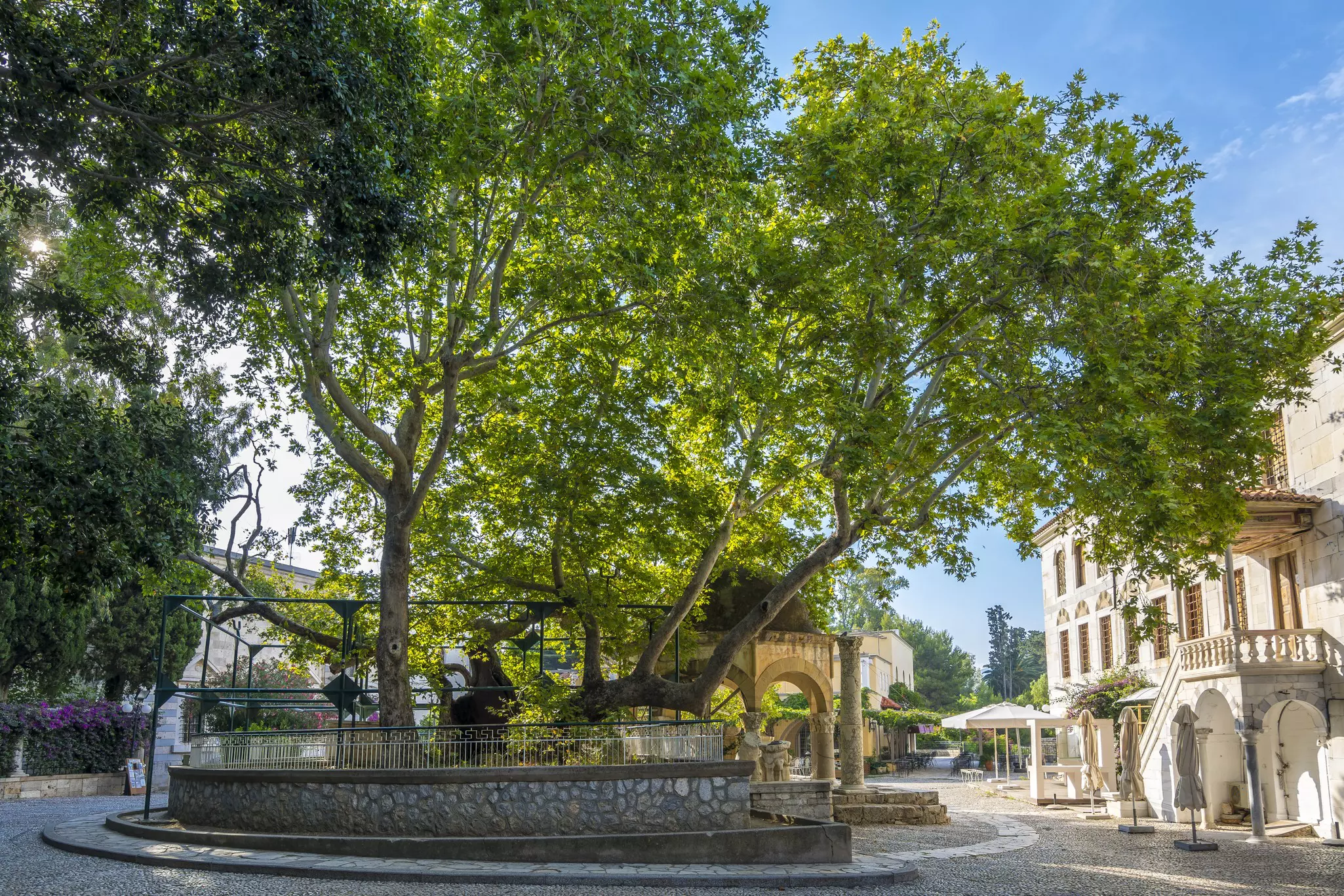 Hippocrates square view in Kos Town, License Type: media, Download Time: 2025-09-07T16:59:45.000Z, User: bhealy950, Editorial: false, purchase_order: 65050 - Digital Destinations and Articles, job: Lonely Planet Online Editorial, client: Best things to do in Kos, other: Brian Healy