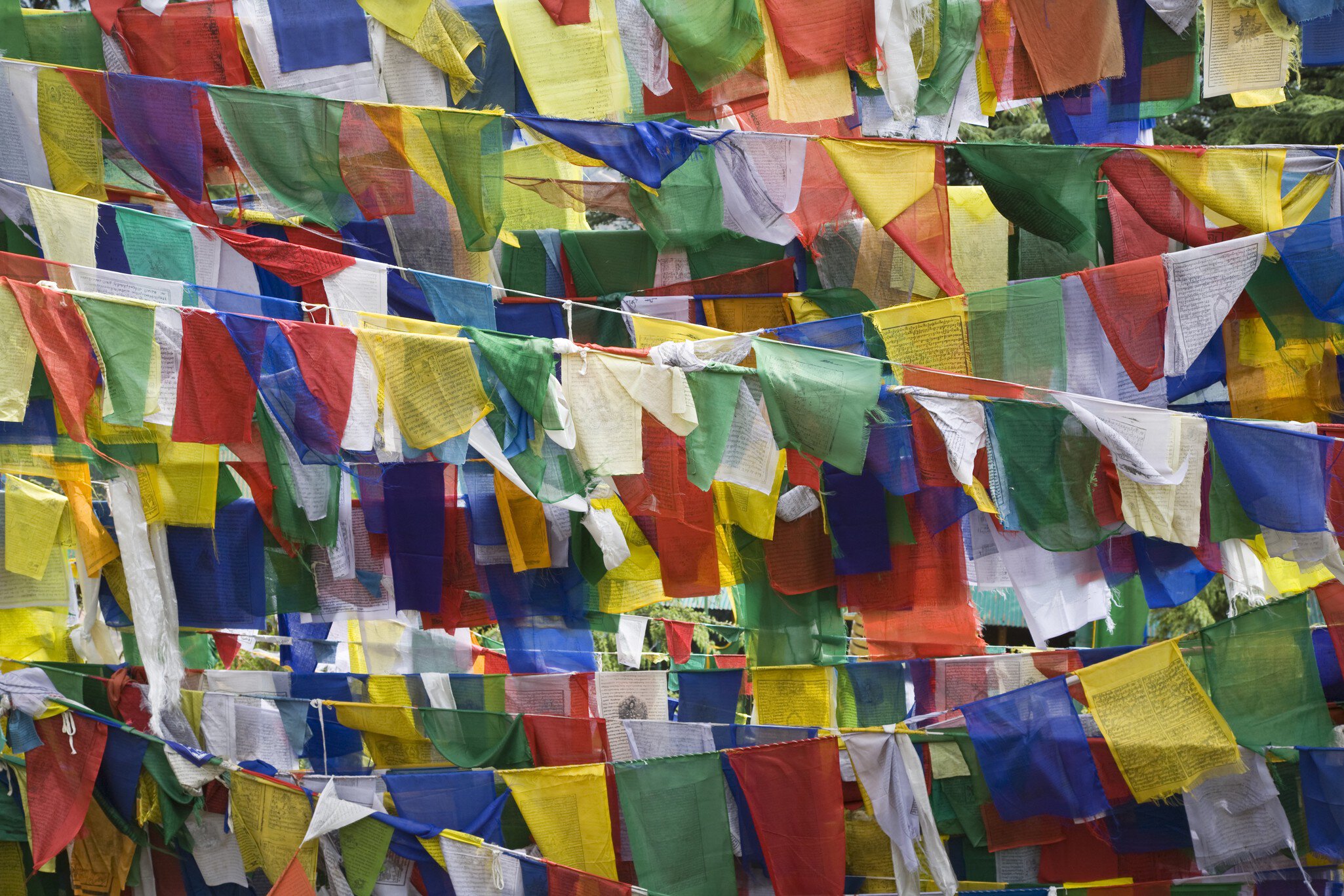 Tibetan Prayer Flags Fly On The Grounds Of The Tsuglagkhang Complex Which Is The Dalai Lamas Residence In Exile In McLeod Gang, Dharmsala, India