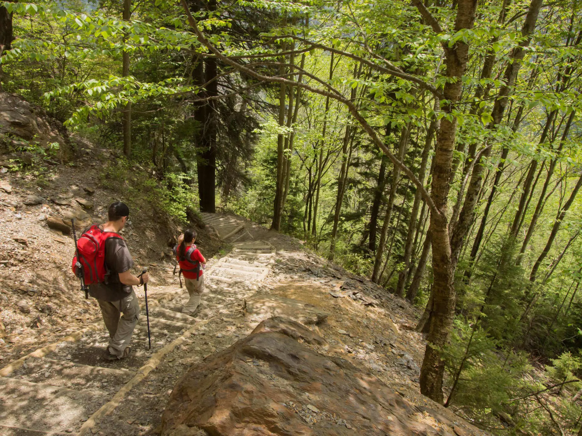 Hiking a steep section of the Alum Cave trail in the Great Smoky Mountains National Park. Theron Stripling III/Shutterstock