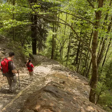 Hiking a steep section of the Alum Cave trail in the Great Smoky Mountains National Park. Theron Stripling III/Shutterstock