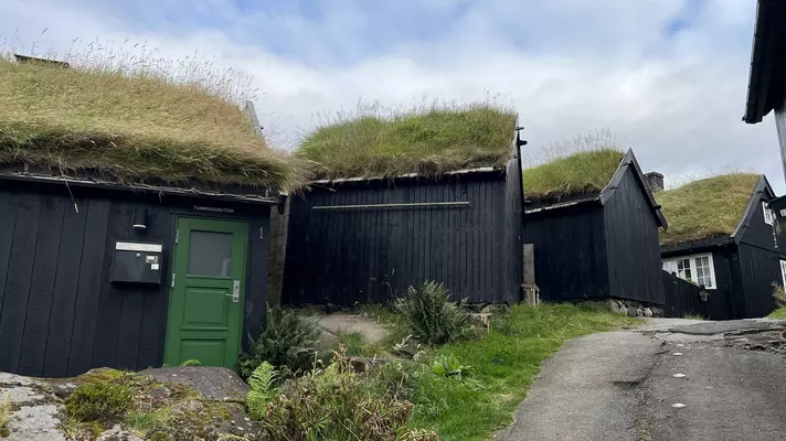 Four black tiny homes with green doors and sod roofs lined up in a row