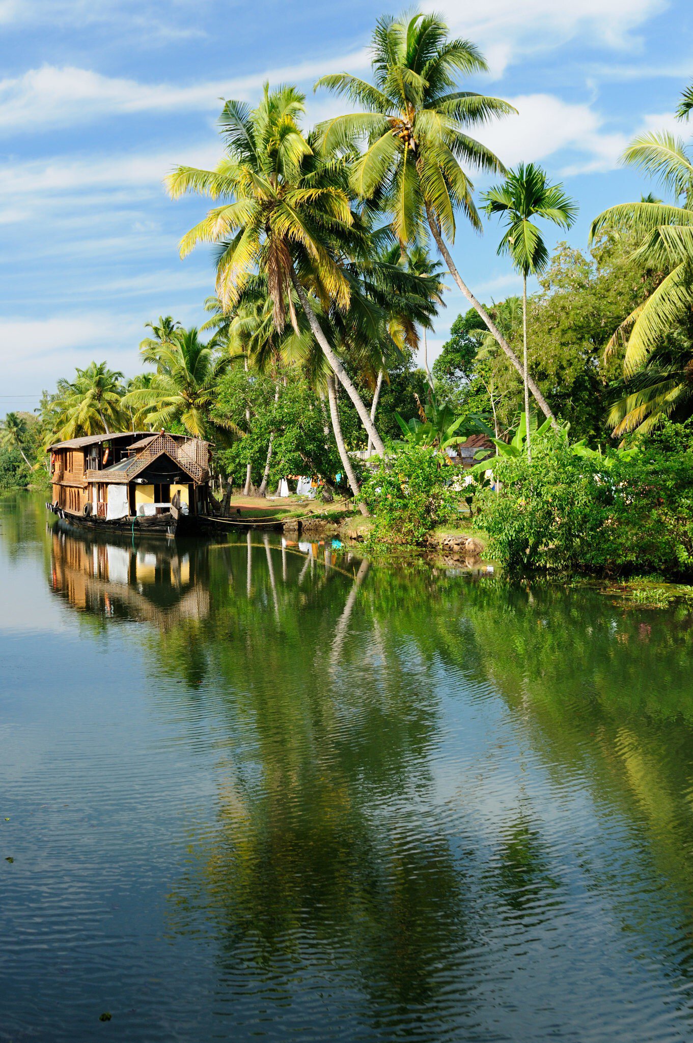Coco trees and a houseboat in the back waters of Kerala, India.