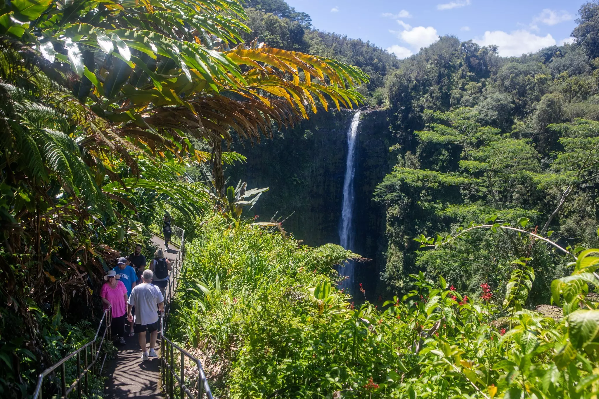 People walk on a pathway through a tropical forest toward a tall waterfall in the distance.