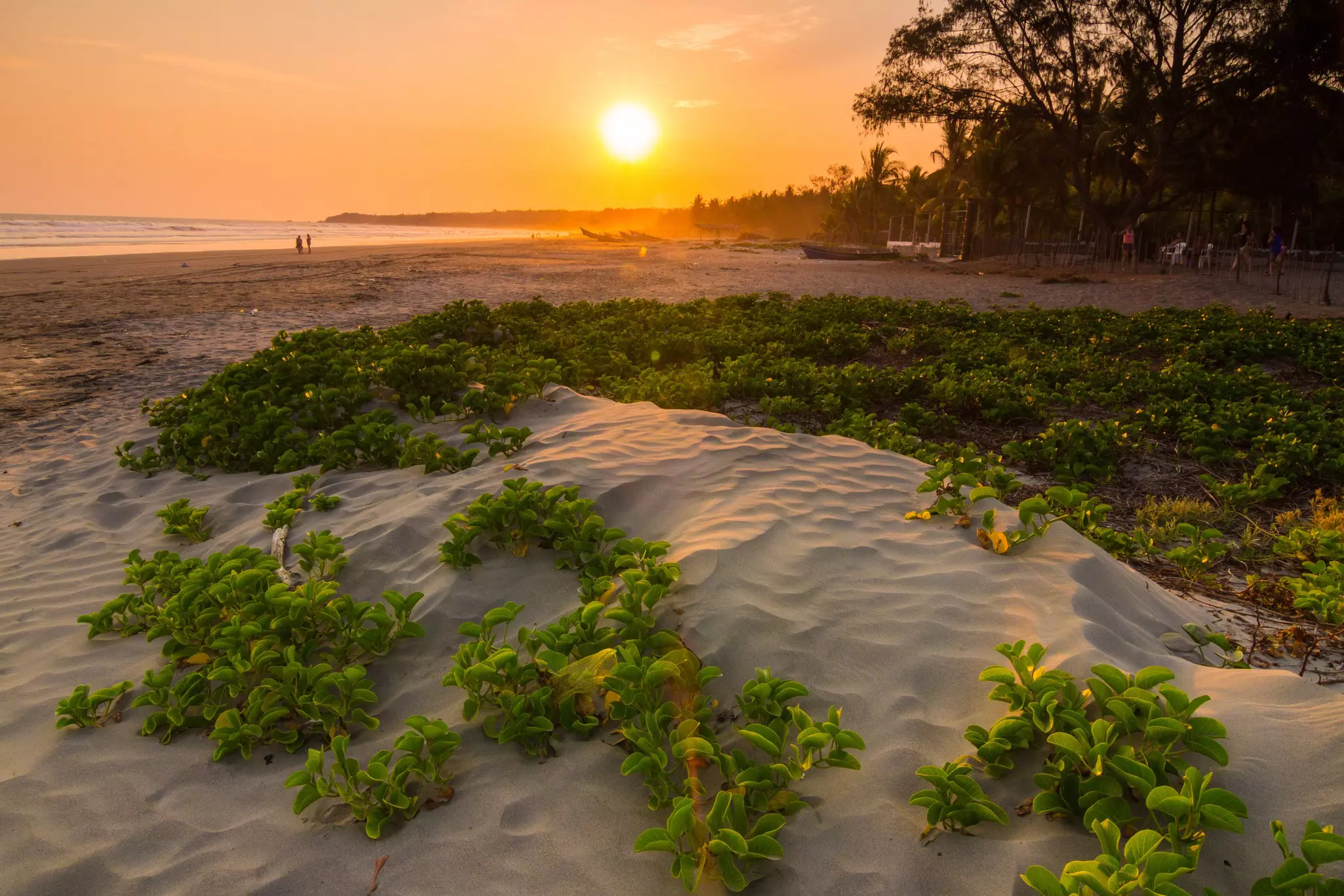 The sun sets and casts golden light over a beach, with people seen walking in the distance.