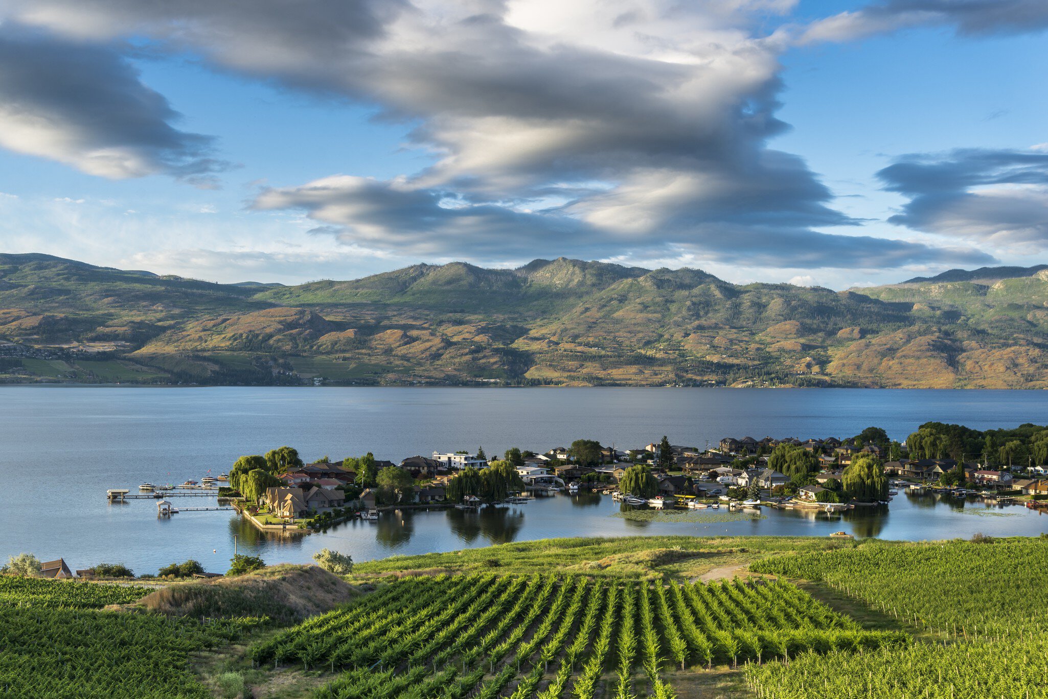 Quails Gate winery, West Kelowna , Okanagan Valley, British Columbia, Canada