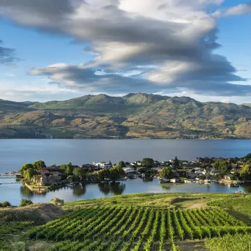 Quails Gate winery, West Kelowna , Okanagan Valley, British Columbia, Canada