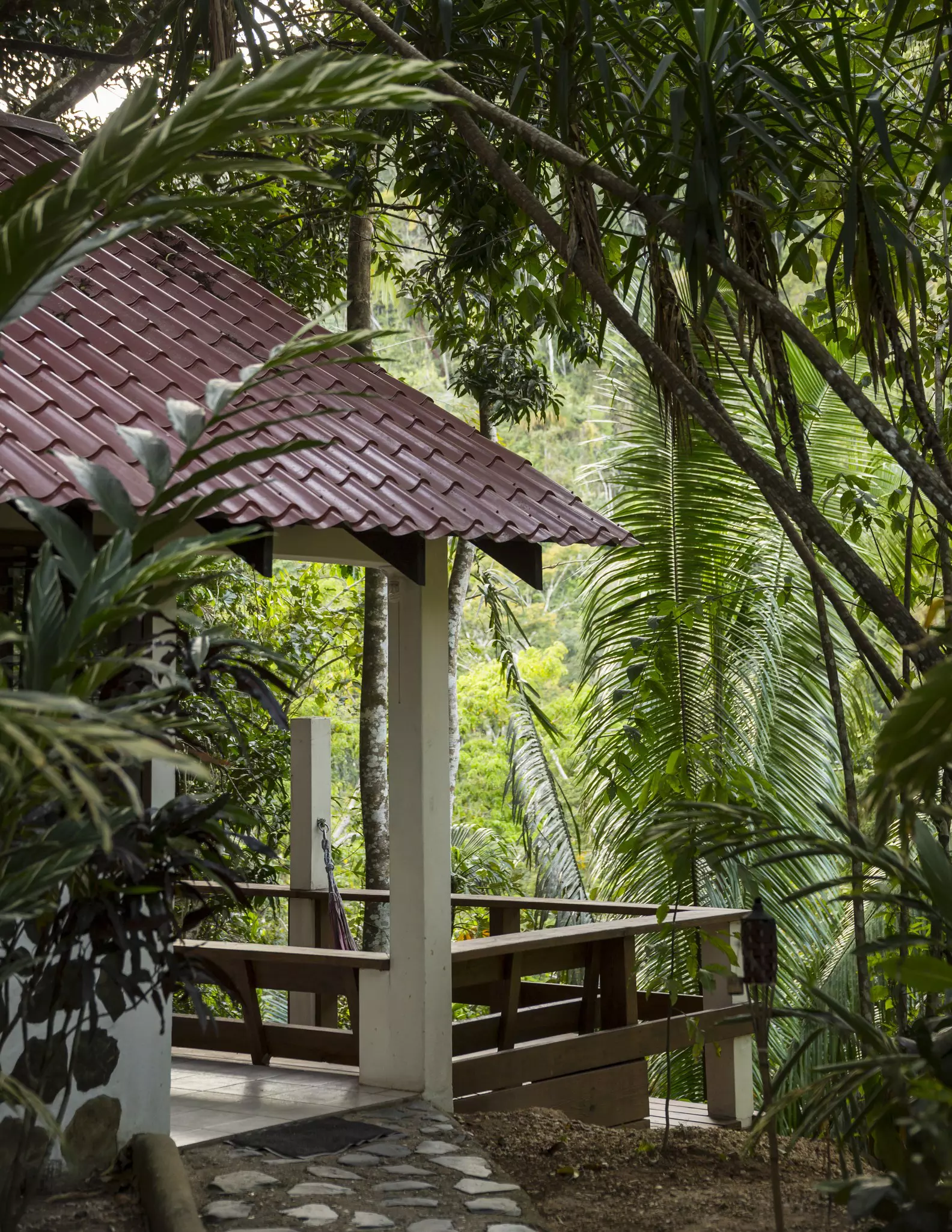 The deck of a cabin in a jungle.