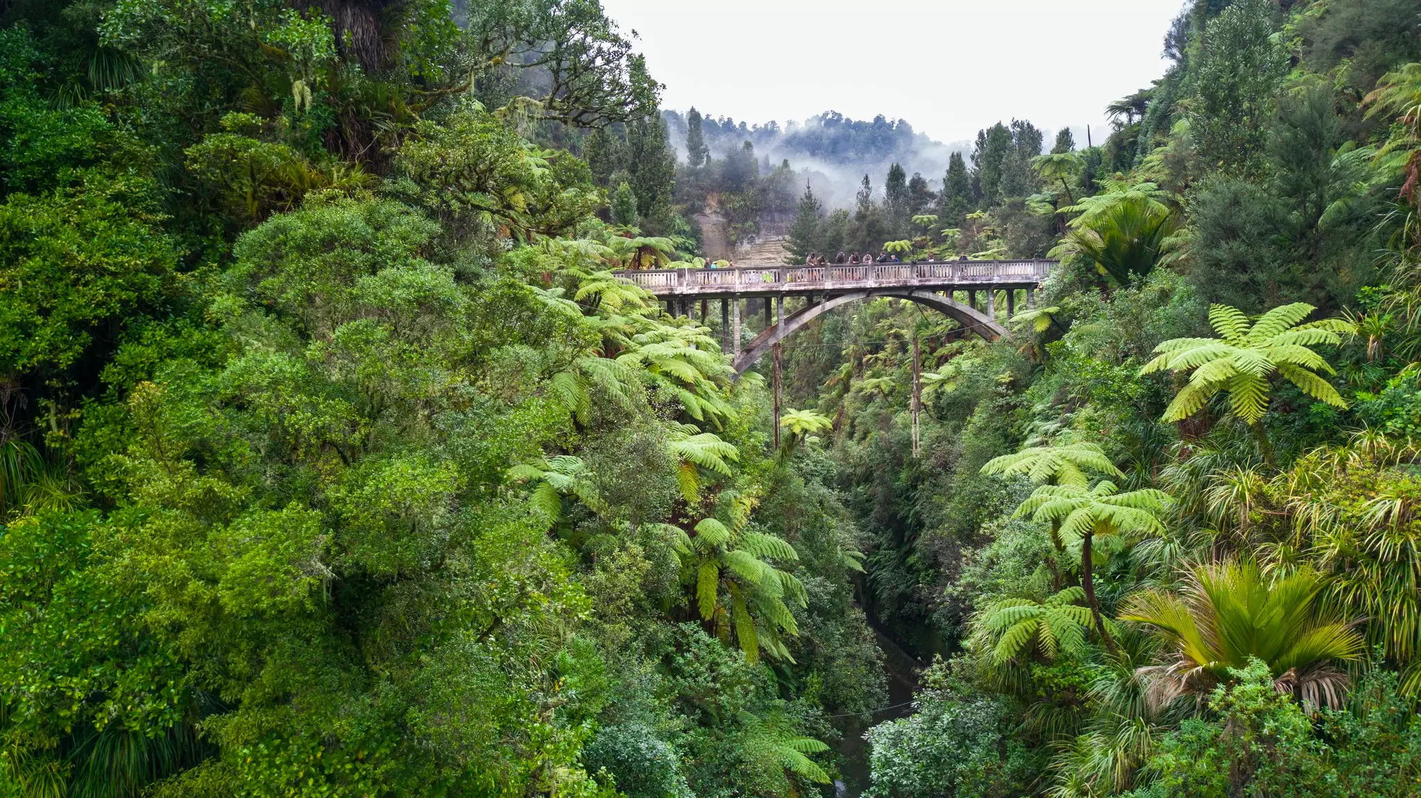 The Blue Duck lodge located in the Whanganui National park is a working cattle farm with a focus on conservation. The Bridge To Nowhere is a unique and historical landmark in the developmetn of New Zealand. It's remote location makes it rare to see.
988787674
blue duck, blue duck station, bridge to nowhere, whakahoro, birds eye view, bridge, cloudy, remote
The Blue Duck lodge located in the Whanganui National park is a working cattle farm with a focus on conservation. The Bridge To Nowhere is a unique and historical landmark in the development of New Zealand. Its remote location makes it a rare tourist sight