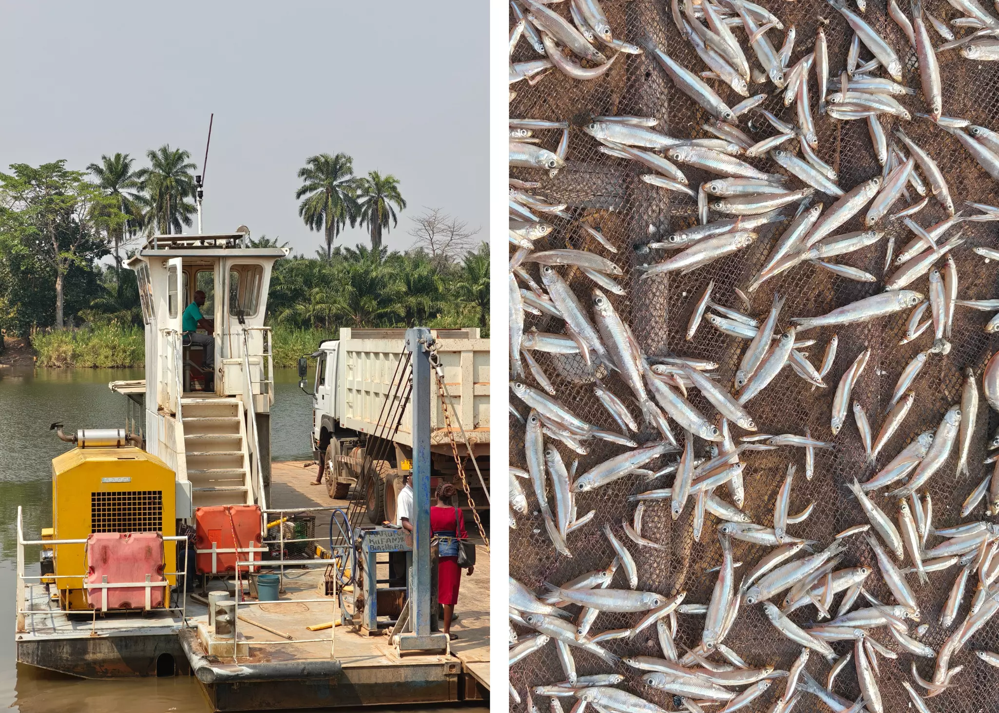 Tecno Partnerships V1
Fish and a TK BOAT along Lake Tanganyika in Kigoma, Tanzania. 
Osse Greca Sinare for Lonely Planet (2)