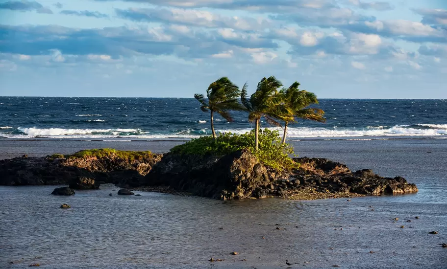 Three windblown palms on a rocky islet in a shallow lagoon with surf breaking beyond, Tutuila, American Samoa