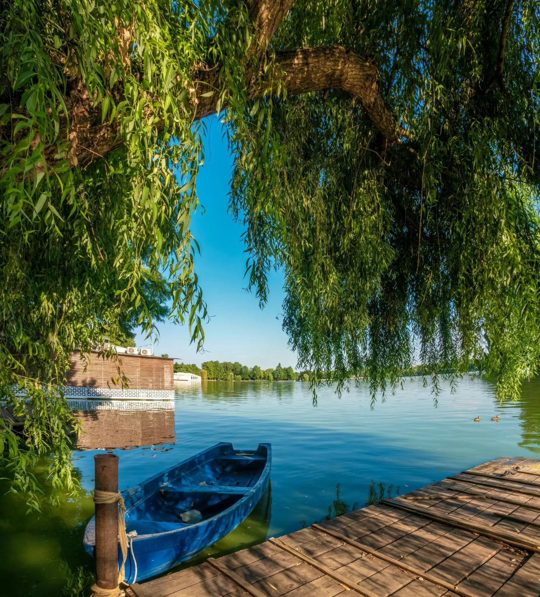Iddle boat on a dock under a wilow tree on the shores of lake Herestrau, King Michael I Park Bucharest, Romania