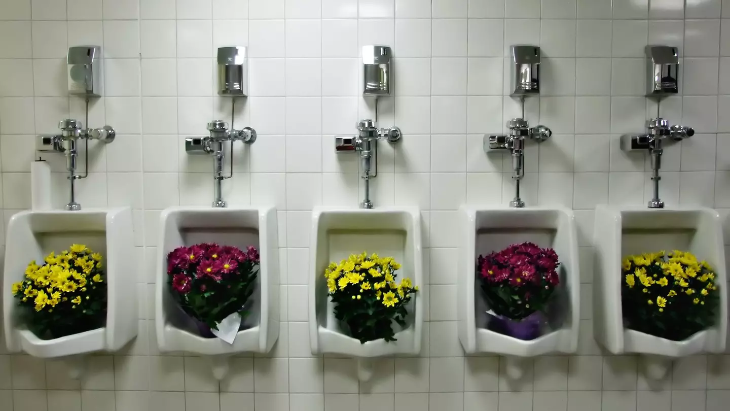 Flower show attendees might be surprised by some of the more inventive displays. PJ Taylor / Getty Images